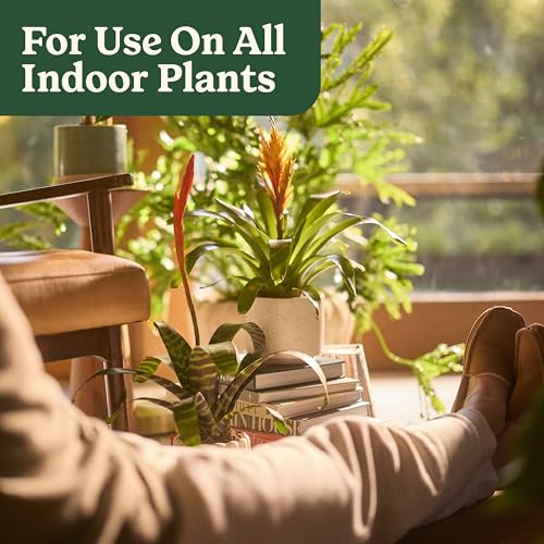 Miracle-Gro Organic Indoor Plant Food, 8 fl. oz. (2-Pack) - image 9