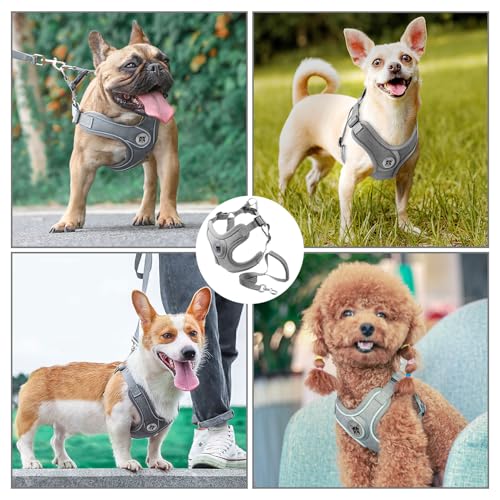 Hundegeschirr und Leine Set, Verstellbares Welpengeschirr, reflektierendes Step in Welpengeschirr, Hundegeschirr Kein Ziehen, Geschirre Kleine Hunde mit Leine, für Kleine Hunde, Katzen