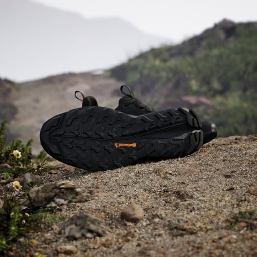 Image of adidas Mens Terrex Free Hiker 2.0 Low Gore-Tex Hiking Hiking Sneakers Shoes - Black
