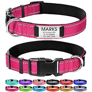 1_Joytale Personalized Dog Collar with Engraved Slide on ID Tags,Custom Reflective Collars for Extra Large,Large,Medium,Small,Extra Small Dogs