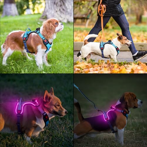 DAISTERN von BSWAY LED Hundegeschirr Größe S mit Griff, Aufladbares Leuchtendes Hundegeschirr, Brustgeschirre Hunde mit 3 Blinkmodi, Reflektierende Streifen für kleine und Mittelgroße Hunde