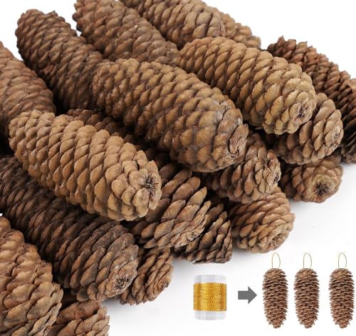 Tannenzapfen Deko, 20 Stück ﻿10-14cm Mini Weihnachten Tannenzapfen...
