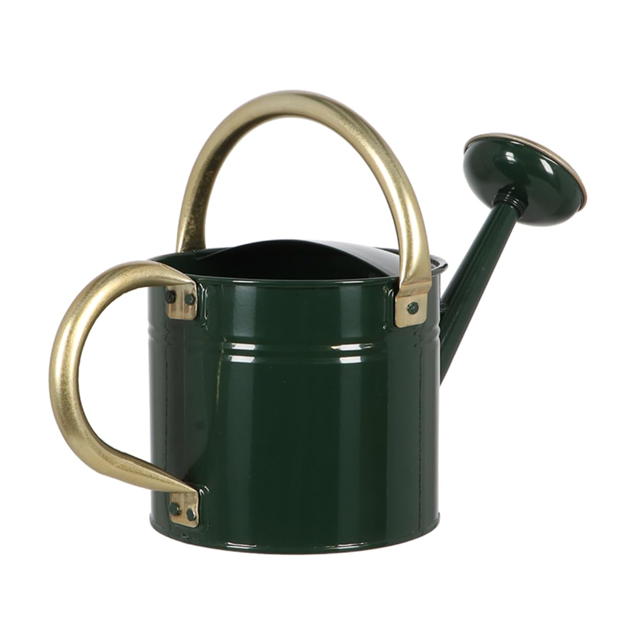Esschert Design Arrosoir 5 l en Acier Vert Style Maison de Campagne Anglaise
