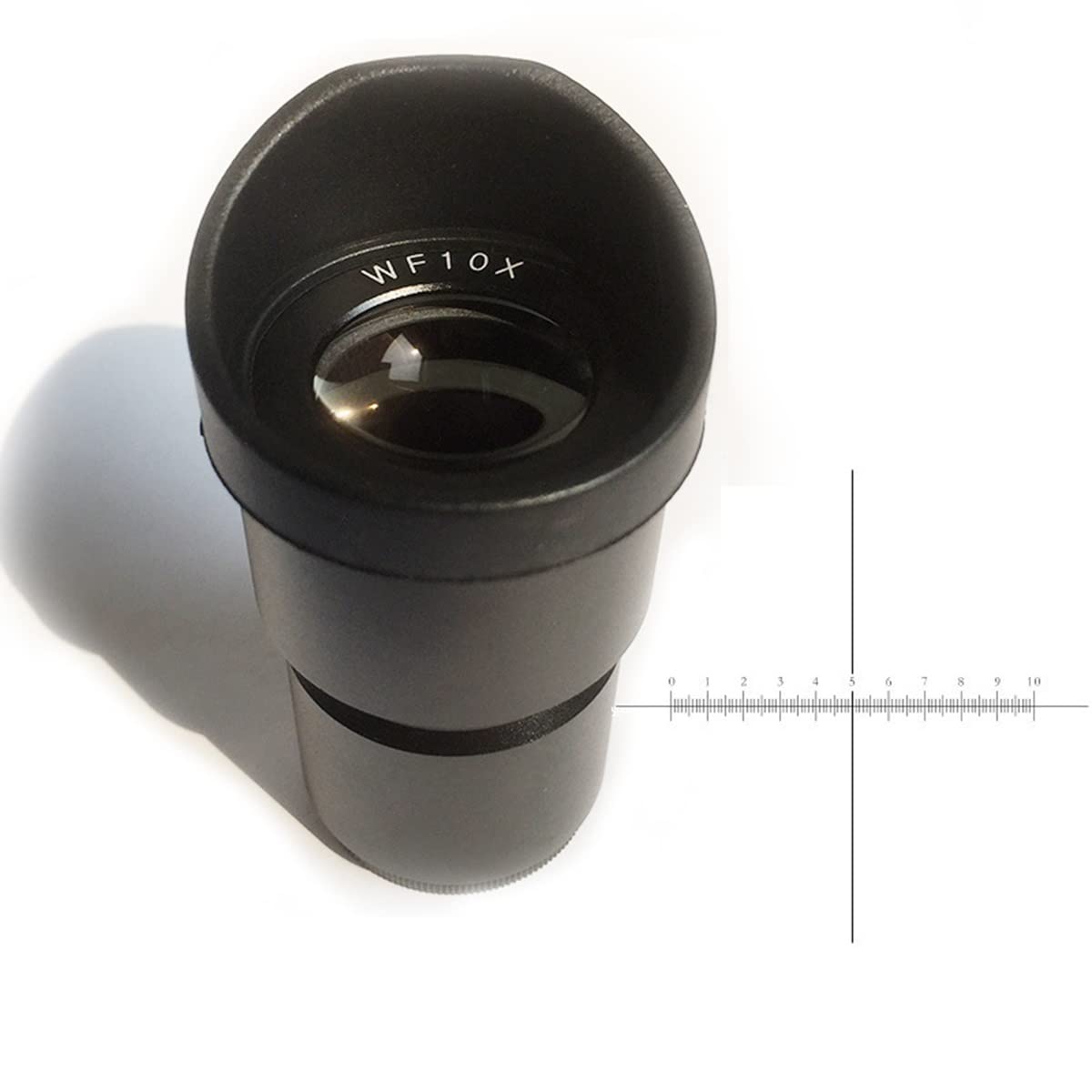 Kit di accessori per microscopio Wf10x. Lente ottica dell'oculare ampio cestino, campo visivo 20mm con o senza reticolo trasversale Vetrini per microscopio (Color : 30.5mm with Scale)