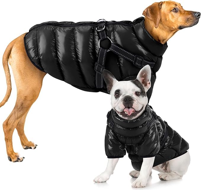 Woiil Perro Chaqueta Otoño Invierno, Abrigo Perro impermeable cortaviento, Mascota Chaleco Caliente con arnés, Chubasquero Perro para Perros Pequeños, Medianos y Grandes, Ropa Perro Pequeño(XXL Negro)