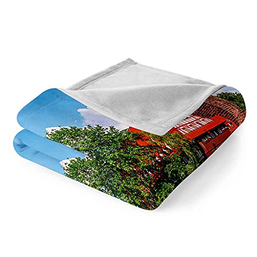Couverture canapé lit flanelle 150x200cm pour déplacements et voyage