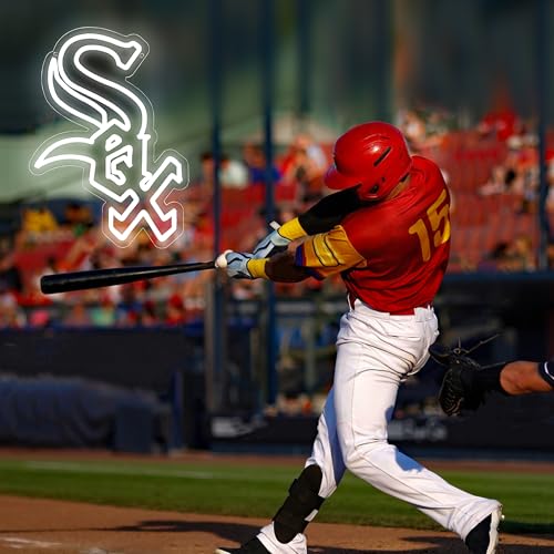 Image of Baseball Neon Sign for Wall Decor Dimmable Baseball Team Led Neon Light Up Sign for Man Cave Bedroom Birthday Gifts for Sports Fans 5V USB Powered Size 15.7 * 11.4inch(ZYLD141)
