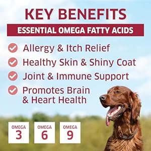 Salmon oil for dogs  wild alaskan fish oil for dogs  omega 3 for dogs  itch relief for dogs  dog joint health  dog allergy relief  dog itch relief  120 dog fish oil soft chews   cucciolini doodles