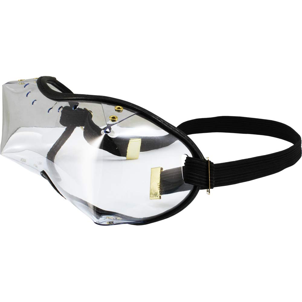 Birdz Swan OTG Over the Glasses Skydiving Goggles Clear Lens Leather Around the Lens