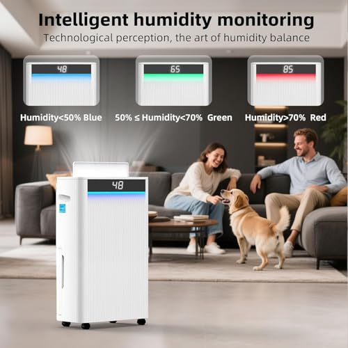 Commercial Grade Dehumidifier for Basements
