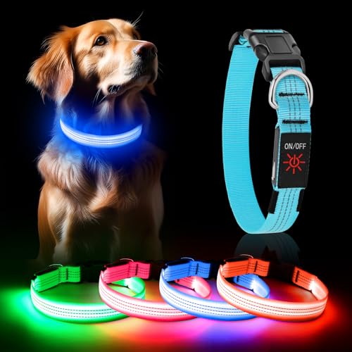Weesiber Leuchthalsband Hund, Wiederaufladbar USB Hunde Leuchthalsband mit 3 Lichtmodi, Verstellbares Hundehalsband Leuchtend mit USB & Reflektierendem & D- Ring Gurt für Nachtsicherheit (Blau, S)