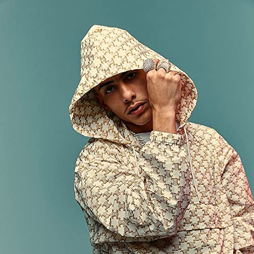 J.I the Prince of N.Y