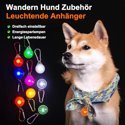 HOSPAOP LED Leuchtanhänger für Hunde, 14 Stück Sicherheitslicht Hundelicht mit 3 Leuchtmodi, Blinklicht für Hundehalsband, Kinder Schulranzen, Katzen, Jogger