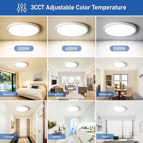 Image of 12 Inch Hardwired Dimmable LED Flush Mount Ceiling Light Fixtures, 24W 2640LM 3000K /4000K /5000K, House Upgrade Led Lights for Bedroom Hallway Laundry Room Rental Units, 240W Equiv., Black