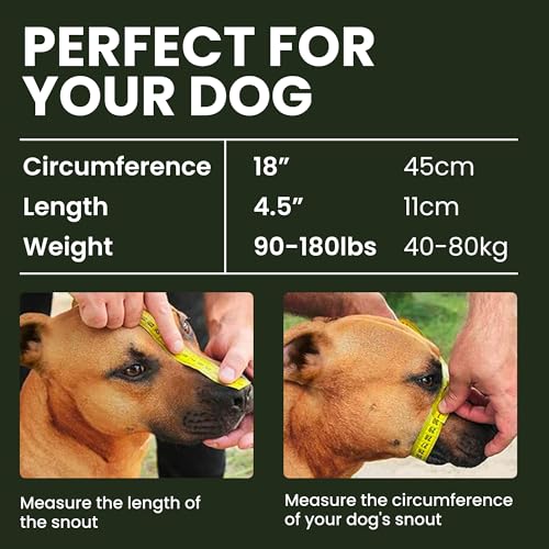 BRONZEDOG Hundemaulkorb Verstellbar Robustes PVC/Metalldrahtkorb für Große und Sehr Große Hunde mit Lederbändern Atmungsaktiv, Trinkfähig, Training, Verhindert Beißen (Great Dane, PVC)