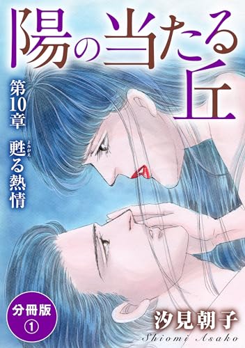 陽の当たる丘 第10章 甦る熱情 分冊版1 陽の当たる丘 分冊版 (素敵なロマンス)