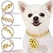 Gold Cat Chain Collar, Gold Diamond Collar Chain for Cat Dog, Glitter Walking Metal Collar with Secure Buckle Paw Charm and Bell, Cuban Jewelry Accessories for Puppy Small Medium Dogs Cats, 10 Inch