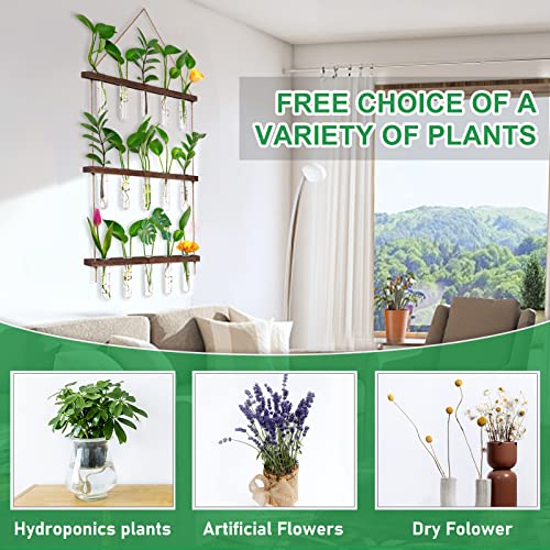 Eveage Propagation Station, Wall Hanging Planter Terrarium Retro 3 Tiered Propagation Test Tube For Hydroponic Plants Cutting Home Office Garden Decor With 16 Glass Tubes. #TOP5