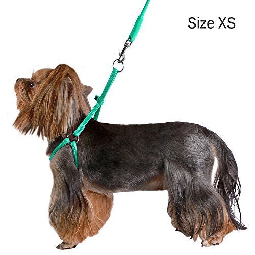 Collardirect Rolled Leather Dog Harness Small Puppy Step-In Leash Set For Walking Pink Red White Blue Green Black Purple Beige Brown Yellow (White, Xs) #TOP6