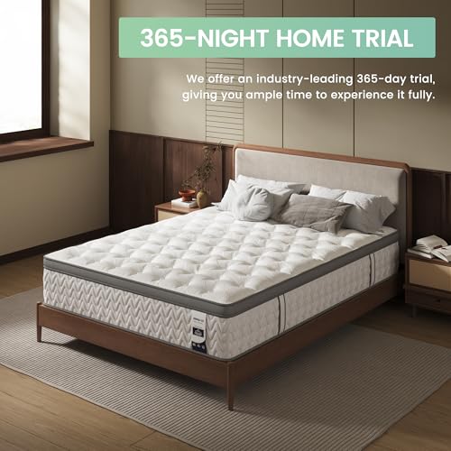 Queen Mattress 14 Inch, 5-Zone Deep Sleep Firm Mattress with Extra Lumbar & Shoulder Support, Hotel Collection Hybrid Mattresses Pain Relief, Fiberglass Free & No Odor, 365 Night Trial