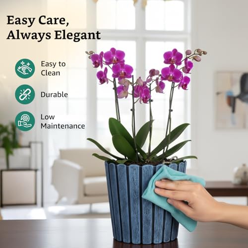 Image of Amazon Brand- Solimo Indoor and Outdoor Round 10 Inch Thai Flower Planter Pot Best for Terrace /Balcony /Home /Office Decor - Set of 2