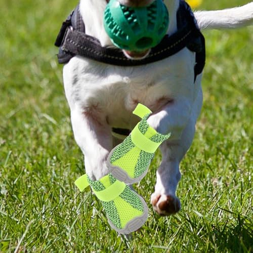 Chaussures pour chiots et petits chiens balades extérieur