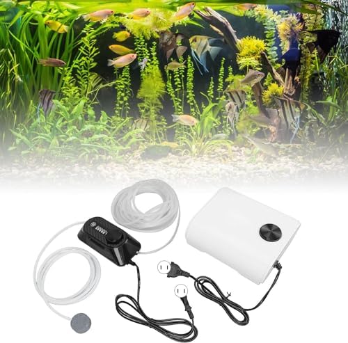 Generatore di ozono per acquario con pompa ad aria, set di filtri per ozono professionale per la purificazione dell'acqua dell'acquario e la rimozione di contaminanti