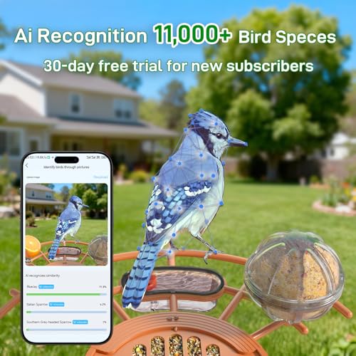 40% Off Smart Bird Feeder with Camera Solar Powered - Image 3