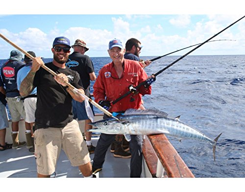 Amazon.com: Pure Fishing Brands: Conventional Reels