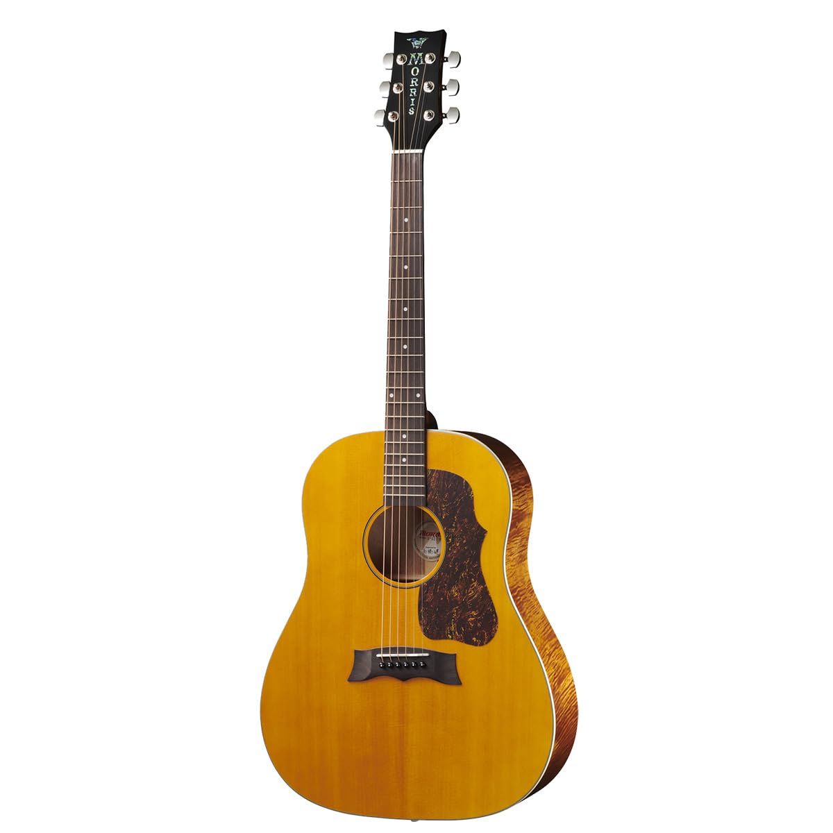 Amazon.co.jp: MORRIS G-021E VYL エレクトリックアコースティック