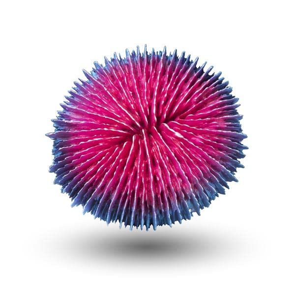 Aquatop CD-02PPF Pink and Purple Aquarium Coral Decor