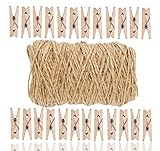 holzklammern mini Bastel Set bestehend aus 100x Miniklammern - Größe 25 mm Mini Klammer Wäscheklammern Holzklammer aus echten Holz & 100 Meter Juteschnur, Kordel, Juteband, Bastelschnur, Schnur, Bastelschnur, Jutegarn braun, aus natürlichem Jute zum Basteln & Dekoration