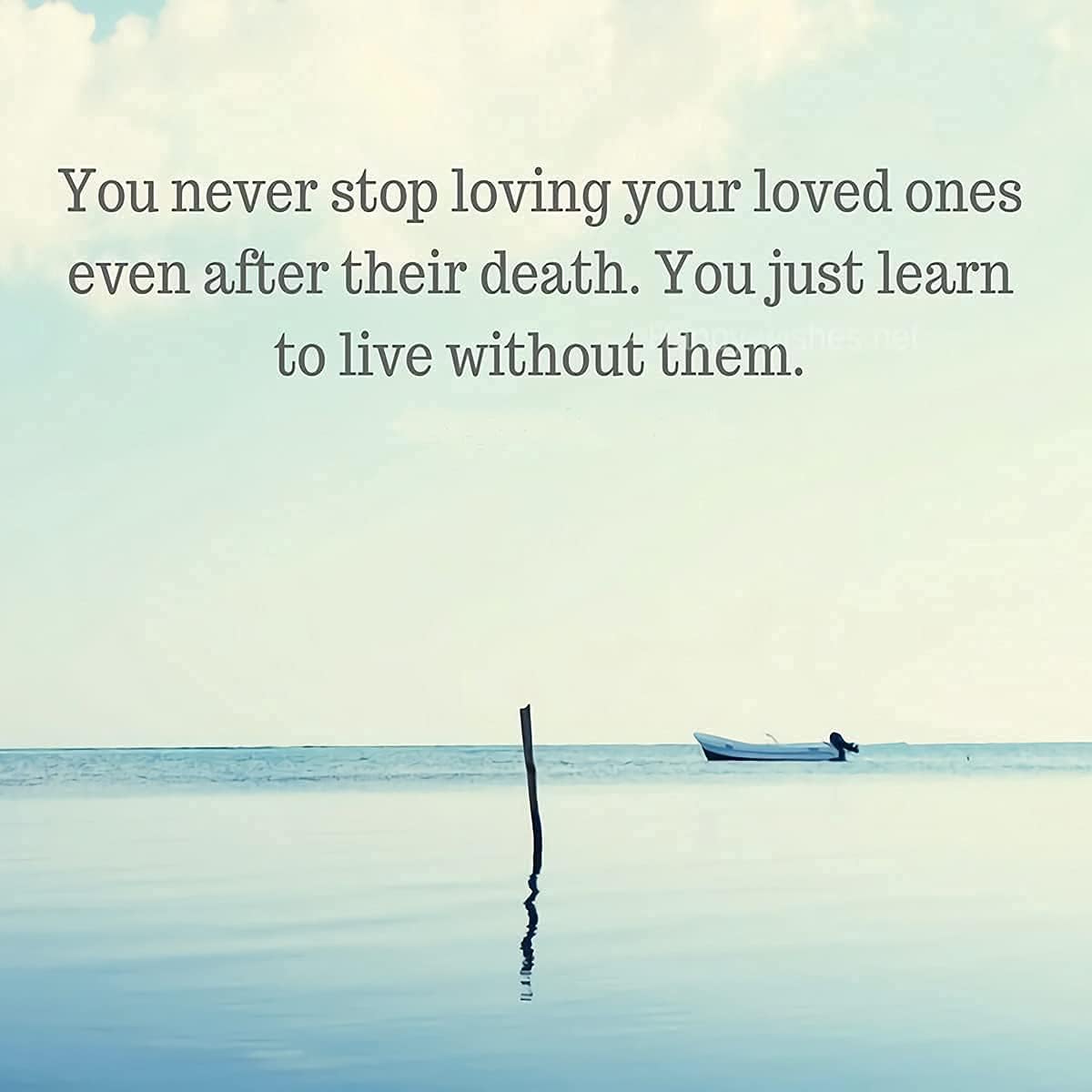 Set of 2 Small Bamboo Scattering Urn Tubes and Gray Velvet Bags for Spreading Human Male Female Pet Dog Cat Cremation Ashes - Image 7