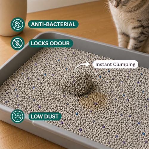 Image of BearHugs Bentonite Cat Litter - Unscented Perfect for Cat (Pack of 1, 5 KG)
