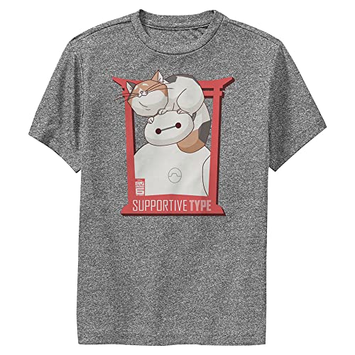 Disney Boy's Big Hero 6 Series Supportive Type Short Sleeve Tee Shirt, Charcoal Heather, Youth Small