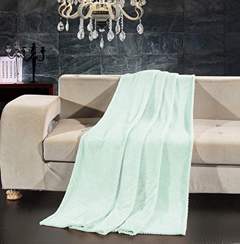 DecoKing Kuscheldecke 70x150 cm Pfefferminze Decke Microfaser Wohndecke Tagesdecke Fleece weich sanft kuschelig skandinavischer Stil Minze Henry