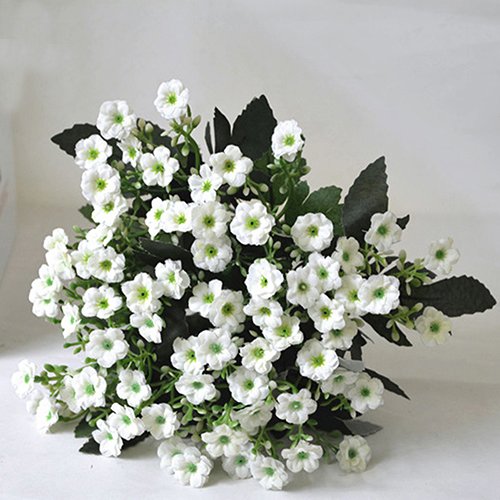 alkyoneus 1 6 Zweige 36 Köpfe Simulation Seide Flower Milan Art Hochzeit Home Decor weiß