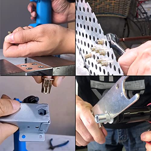 185Pcs Rivet Nut Flat Head Metric Threaded Rivnut Insert Standard Rivetnut Blind Nutsert Assortment Kit Set M3 M4 M5 M6 M8 M10 M12,304Stainless Steel #TOP2