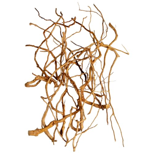 emours Aquarium Treibholz - Natürliches Aquascaping Holz - 20-40cm (8-16in) / 170g - für Pflanzen- & Garnelenbecken (Nur Wurzeln)