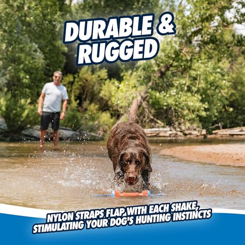 Image of Chuckit! Rugged Bumper Fetch Stick, Medium, 13.5in, Orange and Blue | Has TPR Ridges for Easy Grip, Doubles as a Tug-of-War Toy and Floats in Water; Not Recommended for Aggressive Chewers