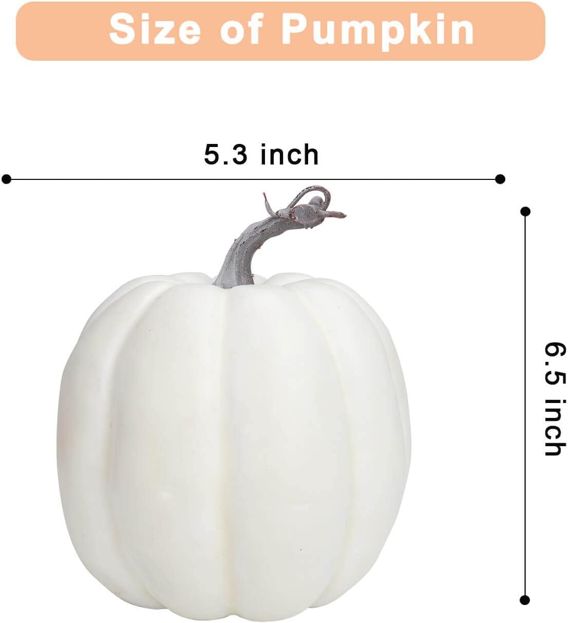 https://m.media-amazon.com/images/I/517-Qo0yuAL._AC_SL1500_.jpg