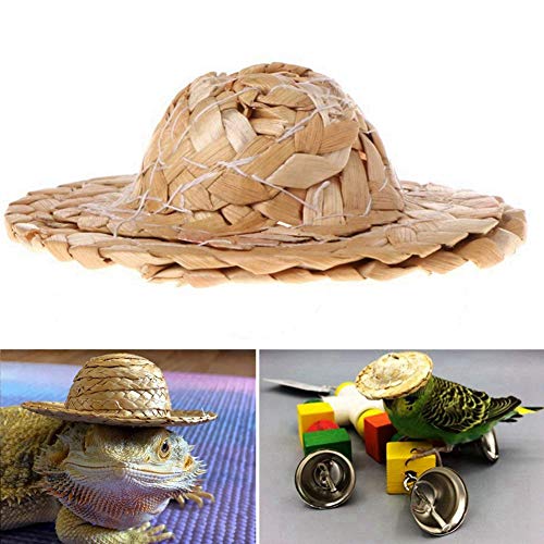 Image of 3 Pcs Handmade Birds Straw Hat Funny Mini Hat for Bearded Dragons Head Wear for Parrot Parakeet Macaw Cockatiels Lovebird