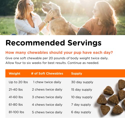 Nutri-Vet Shed Defense Soft Chews for Dogs - Supports Normal Shedding and Healthy Coat - 60 Soft Chews , 5.3 Ounce - Thumbnail 6