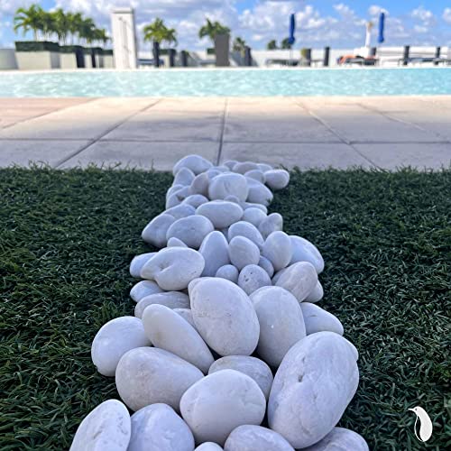Pgn White River Rocks For Plants - 5 Pounds - White Rocks With Smooth, Polished Surfaces - 1-3 Inch Stones For Planters, Aquarium Decorations, Vase, Fireplace, Landscaping, Outdoor Decor #TOP6