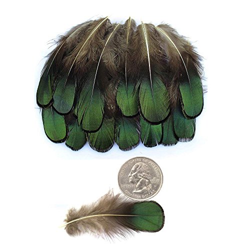 Ximimark 60Pcs Green Bronze Iridescent For Diy Wedding Sewing Crafts Costumes Decoration #TOP2