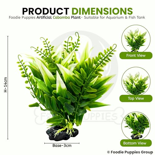 Image of Foodie Puppies Aquarium Plastic Plants with Resin Base Decor - (Cabomba Plant, Medium, 3 x 3 x 14 cm) for Fish Tank Ornament Accessories, Household & Office Natural Looking Artificial Plant