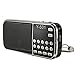 Produktbild MASUNN Y-501 Mini Portable Lcd Digital Fm Radio Speaker Usb Disk Tf Aux Mp3 Music Player Geschenk - Schwarz