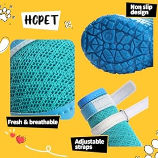 Dog Shoes for Small Dogs, Dog Boots & Paw Protectors for Hot Pavement Winter Snow Hiking, Anti-Slip Dog Booties for Hardwood Floor Blue Size 2