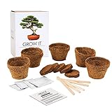 MonsterCadeaux - Bonsaï à Faire Pousser - Kit Grow it Arbre Bonsaï à Planter soi-même - Co...