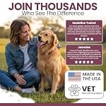 Senior Dog Vitamins and Supplements - 60 Soft Chew Multivitamin for Dogs | Hip and Joint Support, Advanced Formula with Glucosamine, Omega 3, 6, 9, Vitamins, & Probiotics - Image 4